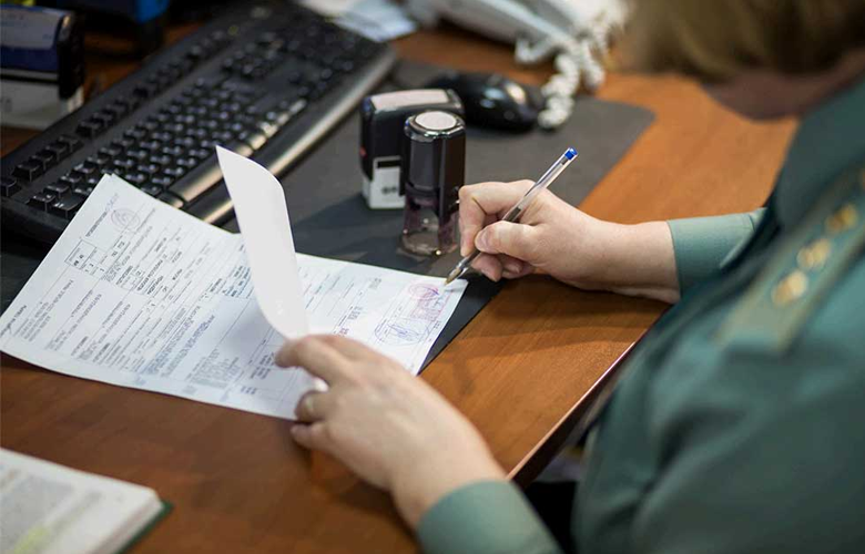 Customs-Clearance